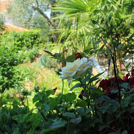 Apartament Lukacic *